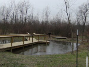 Completed wooden boardwalk over the wetland that is now filled with water.
