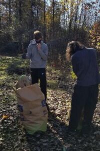 Two boy scouts working to bag invasive plants removed from the wetland area. They are working to fill a brown yard waste bag.